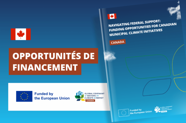 SITE CAPA NOTICIAS (2) (1)